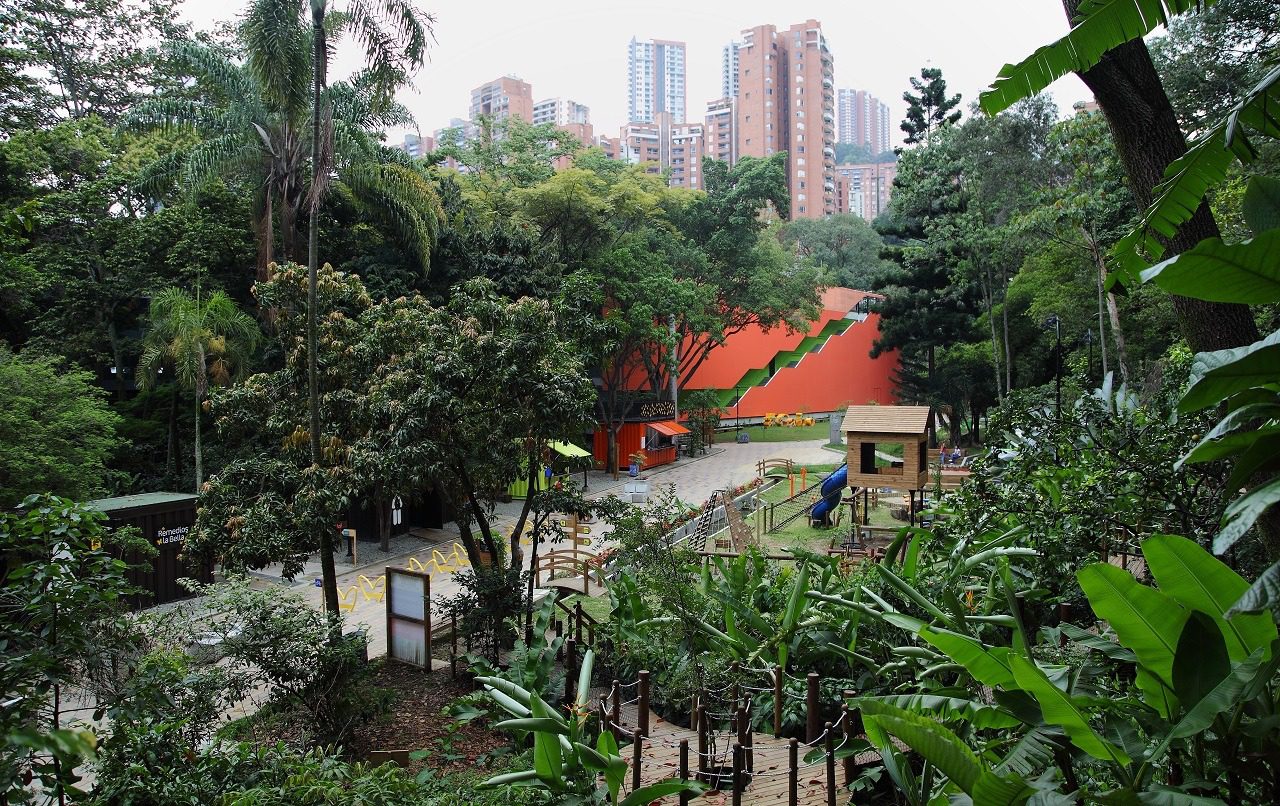 Top 5 de especies de fauna y flora que puedes avistar en el Canal Parque
