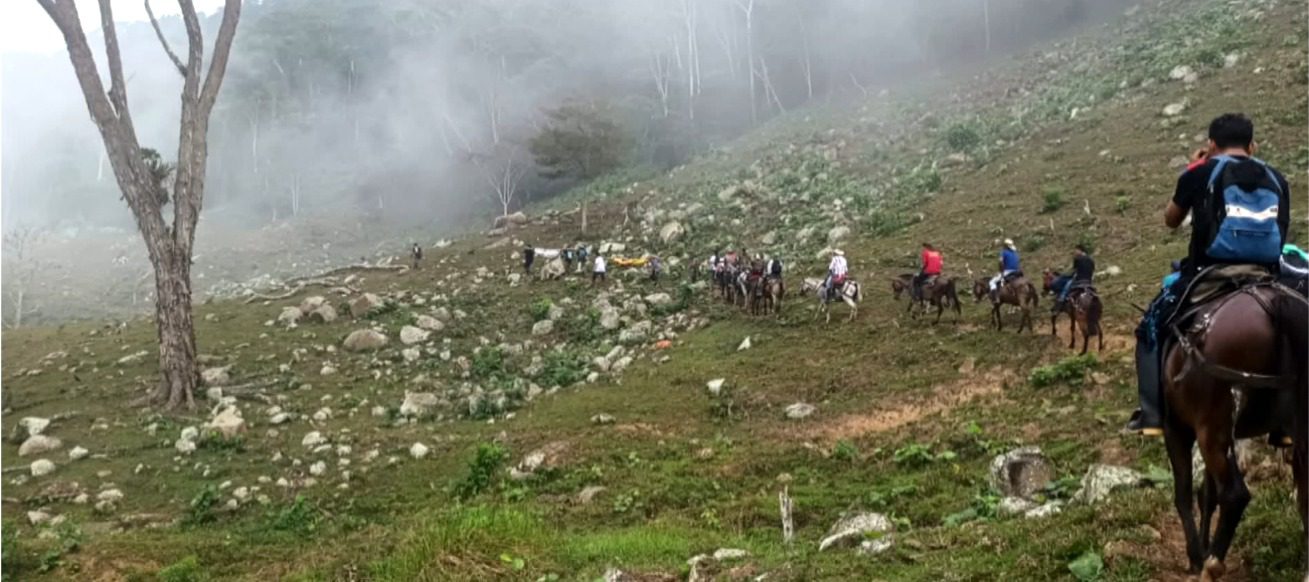 Campesinos trasladaron en lomo de mula y hamacas los cuerpos de las víctimas de la Comunidad de Paz en San José Apartadó.