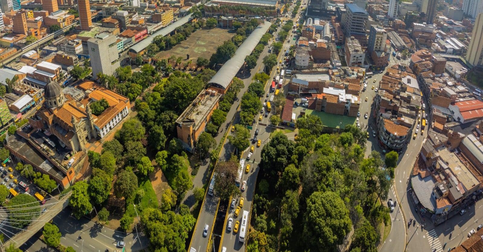 Medellín celebra el Día Internacional de los Bosques con acciones innovadoras para cuidar sus áreas verdes