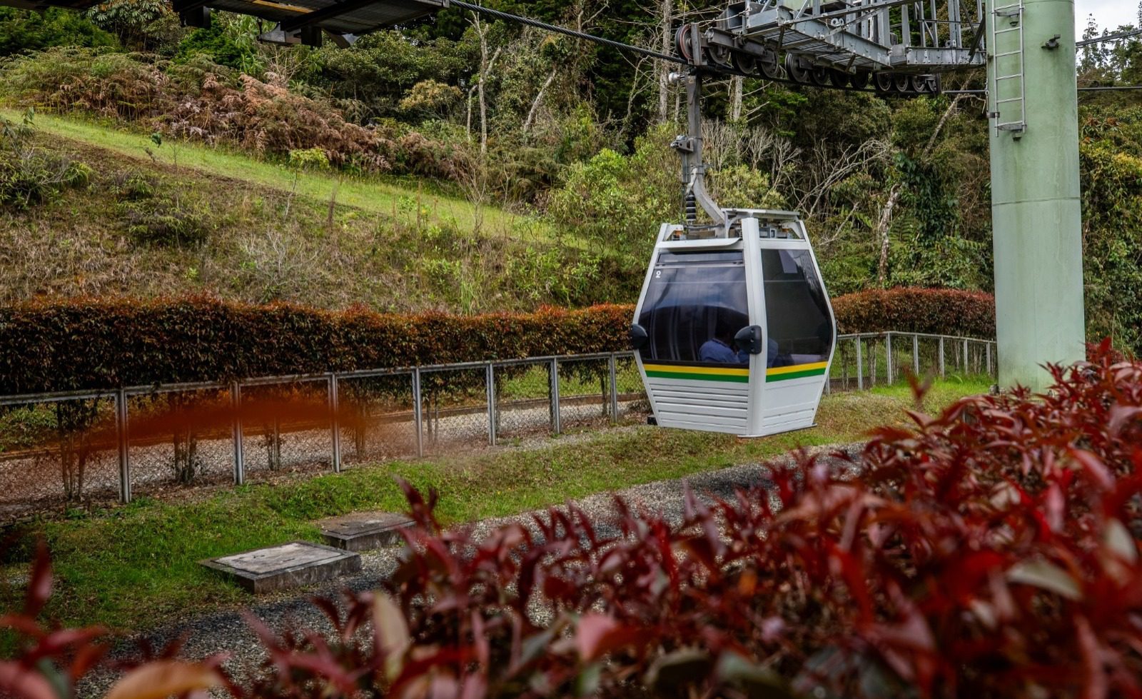 Metrocable Arví tiene descuento para subir al Parque por solo 3.500 pesos