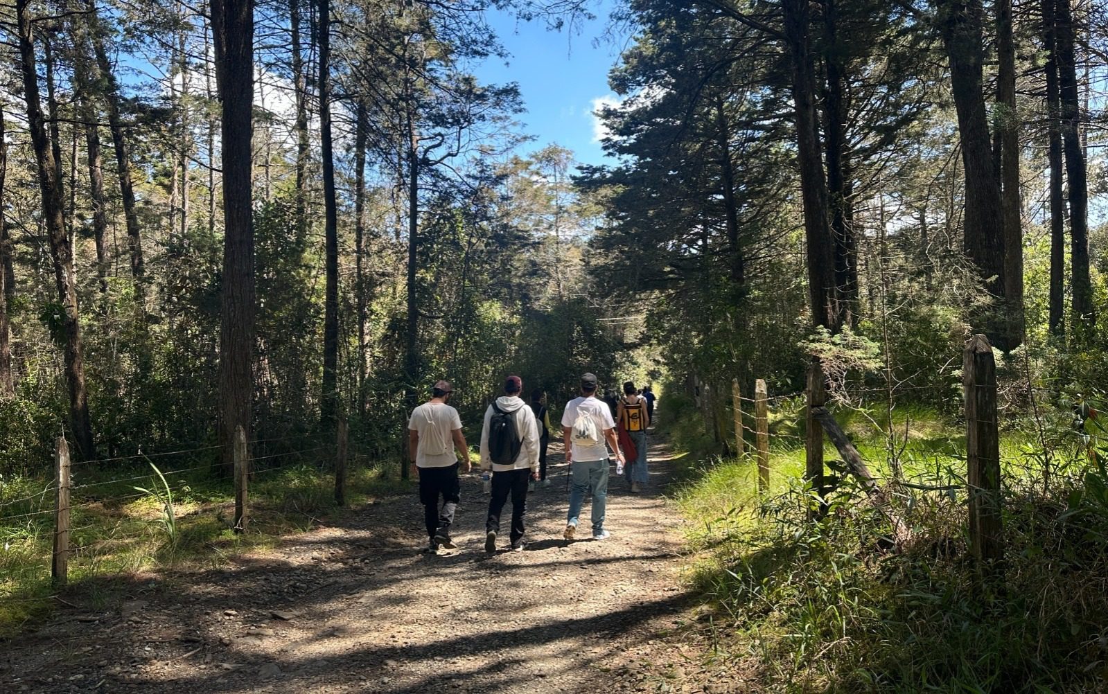 Parque Arví empezará a abrir los lunes y tendrá descuentos especiales en senderismo