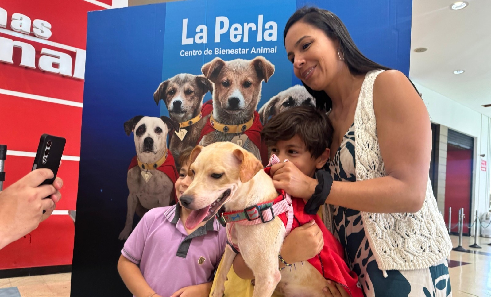 Campaña “Adopta un superhéroe” logró 29 adopciones de perritos en una semana