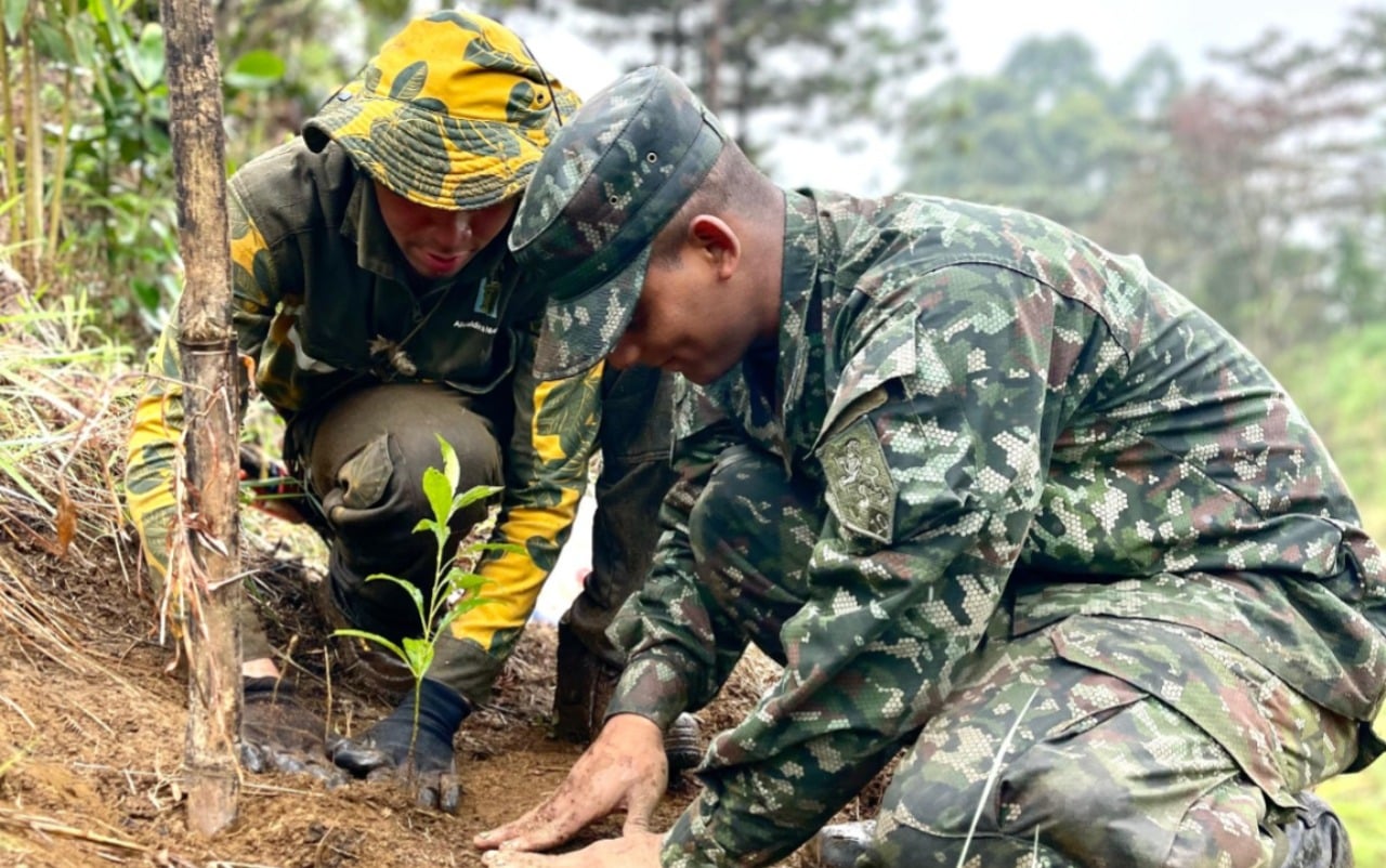 Medellín acumula más de 1.600 intervenciones ambientales en lo corrido del año
