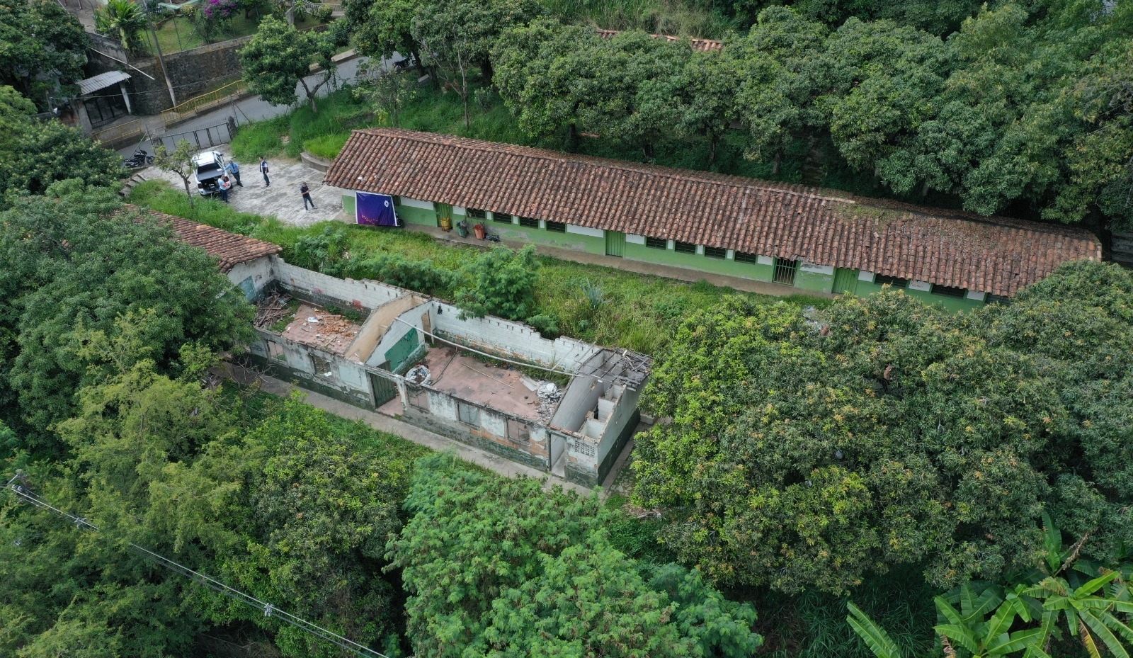 Animales serán reubicados para dar paso a nuevo jardín Buen Comienzo