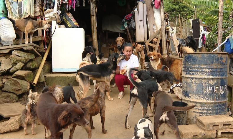 Yesenia, la mujer que hizo un refugio temporal de perros y gatos afectados por tragedia en Granizal