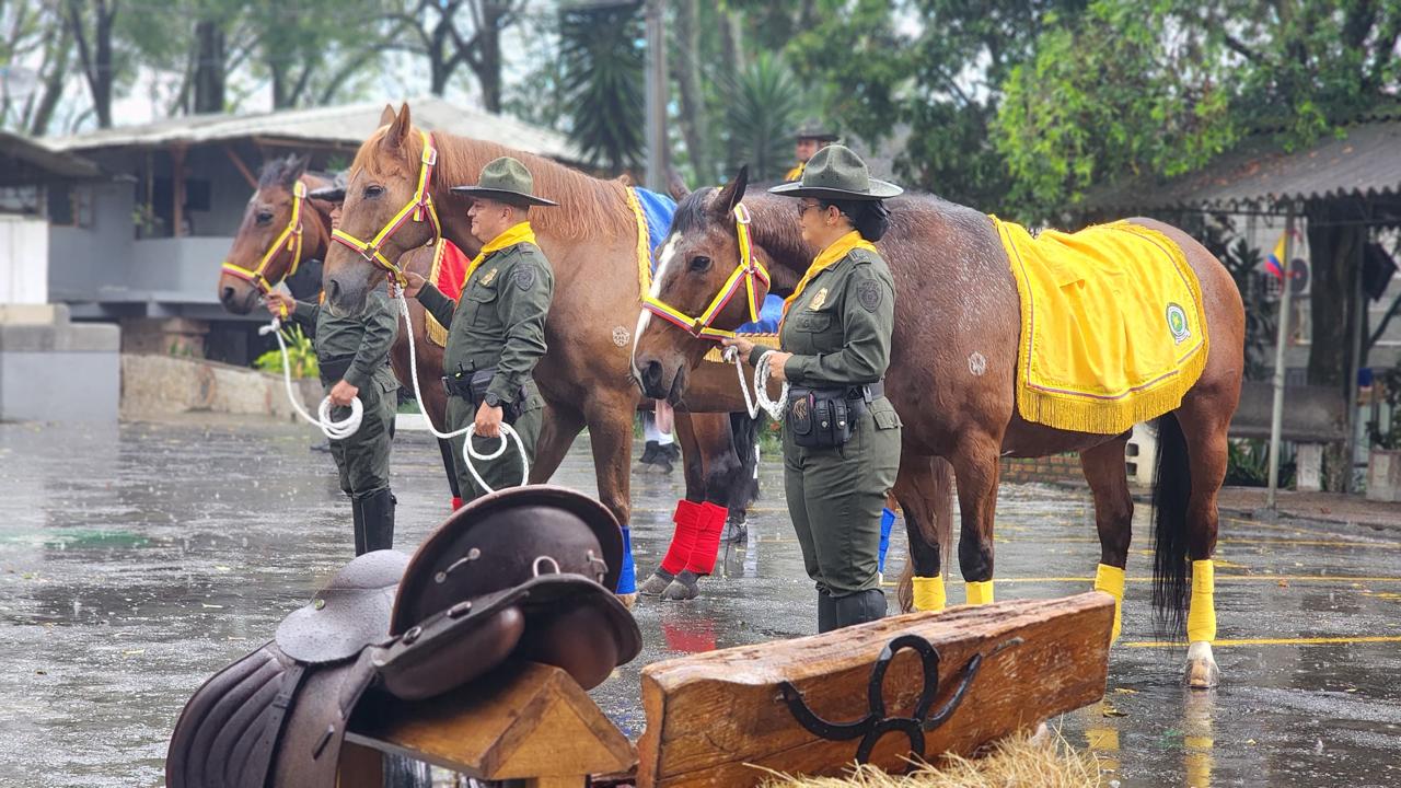 Dan en adopción a tres caballos que prestaron su servicio a en Carabineros