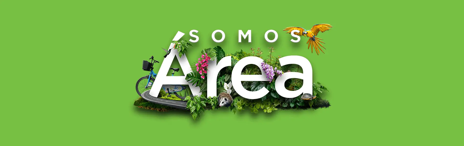 Somos Área