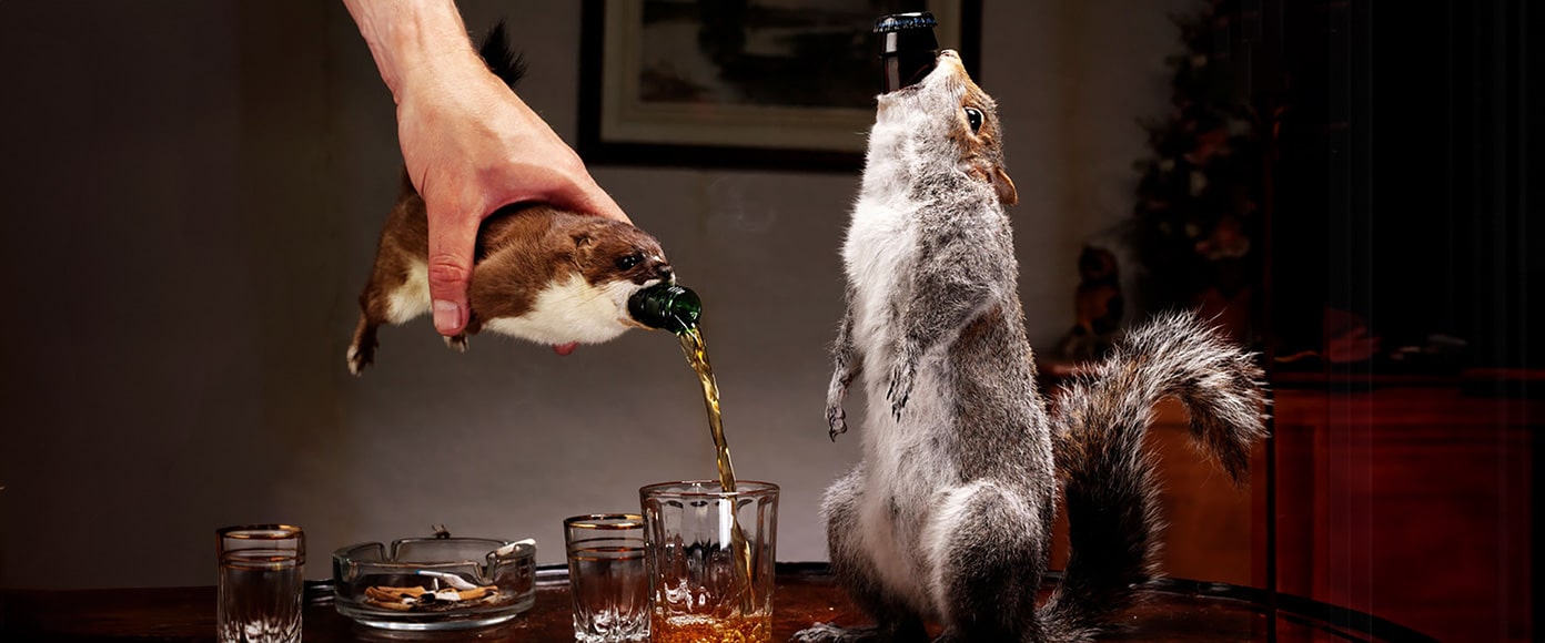 The End of History - The Race to Create the World Strongest Beer | BrewDog UK