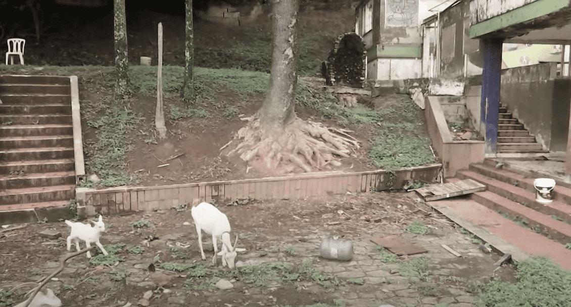 casa abandonada envigado