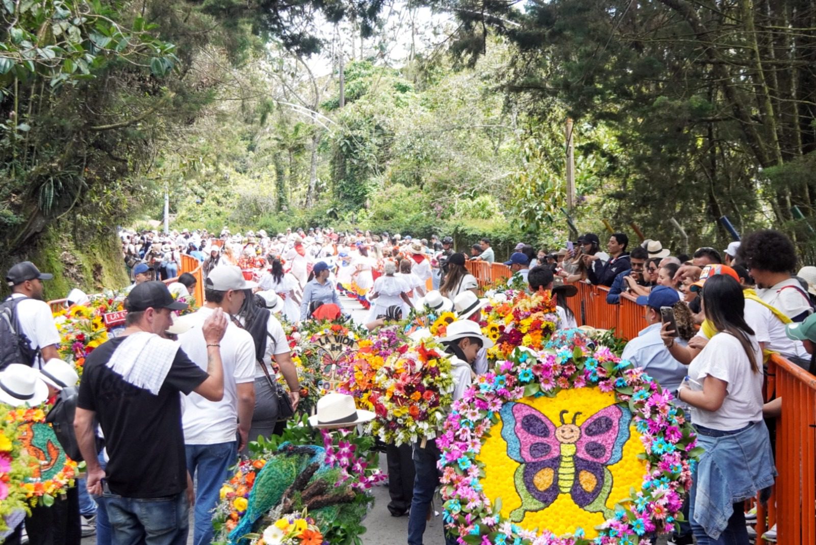 Vea el Desfile de Silleteritos en Santa Elena, antesala a la Feria de las Flores