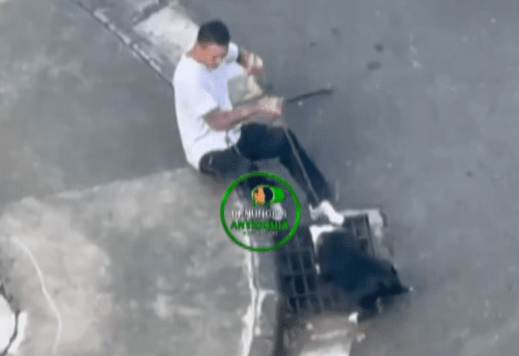 Perrito fue amarrado y golpeado con bastón por un hombre en Belén