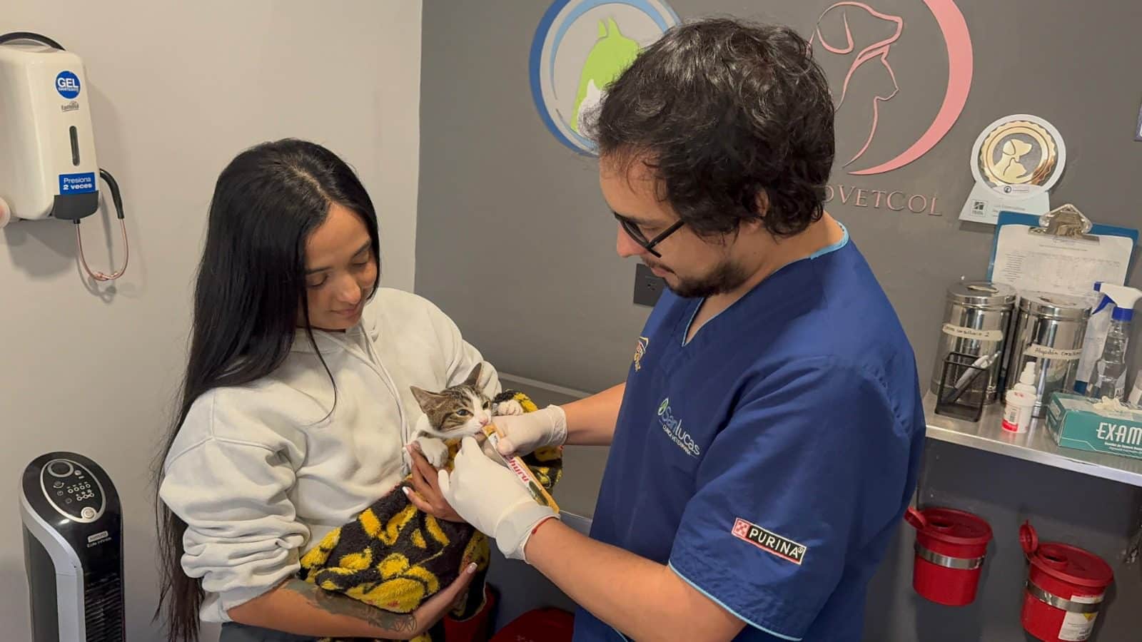 Más de 100 animales han sido atendidos tras la emergencia en Santo Domingo