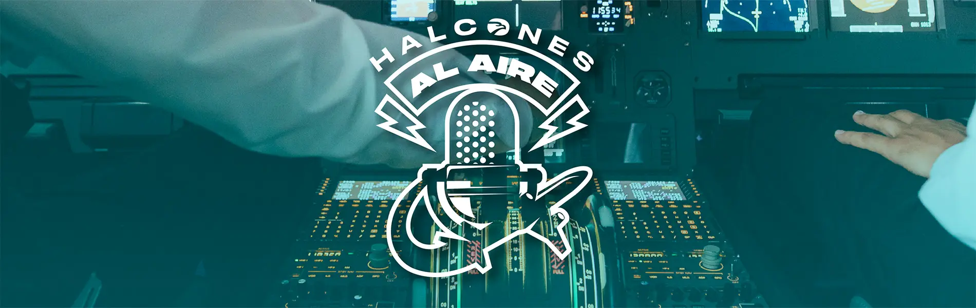 Halcones al Aire