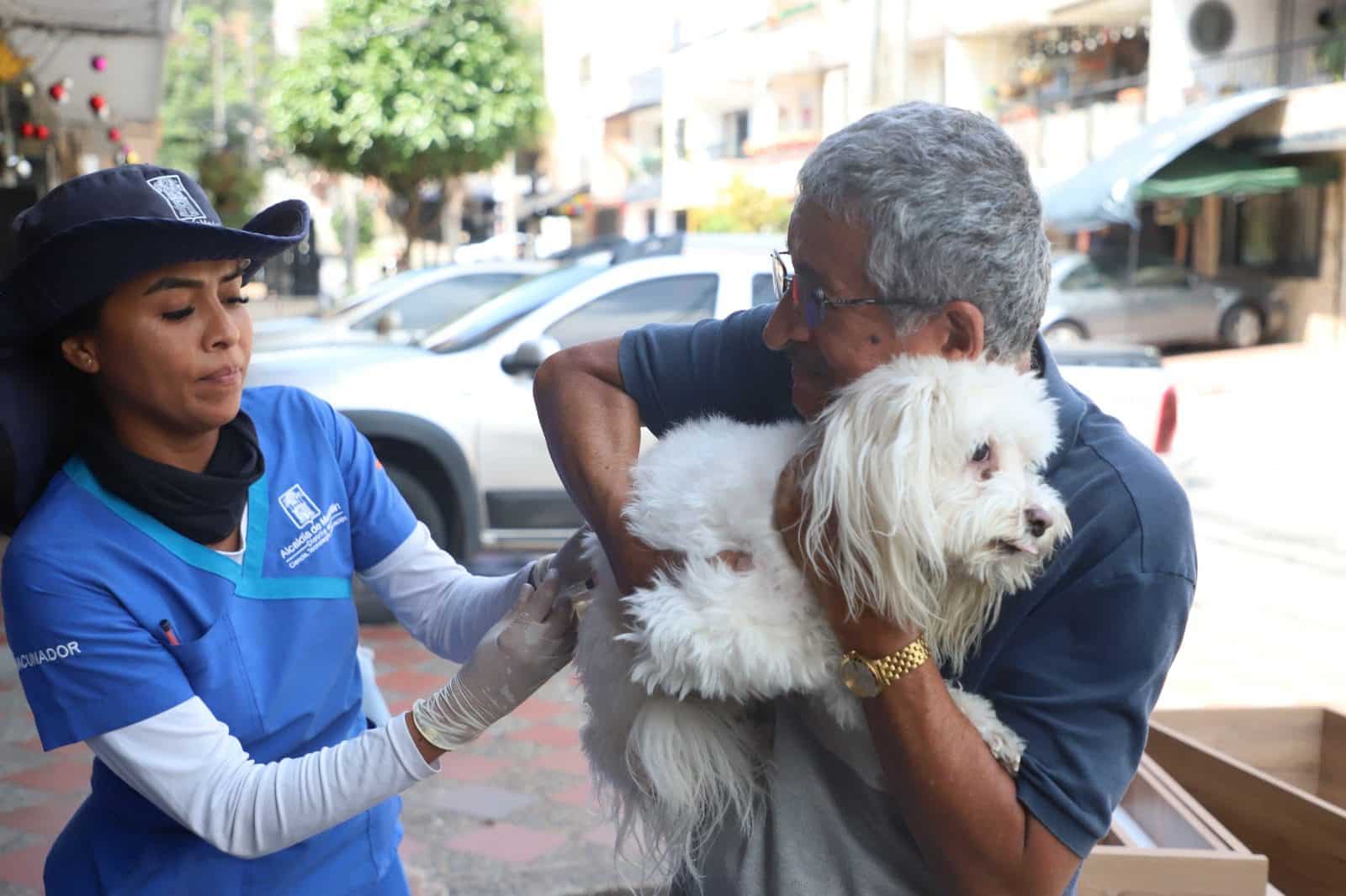 Realizan jornada de vacunación antirrábica en Santa Cruz, Manrique y San Cristóbal