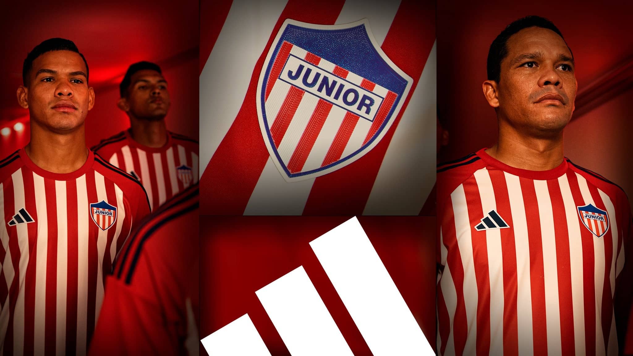 Camiseta de Junior