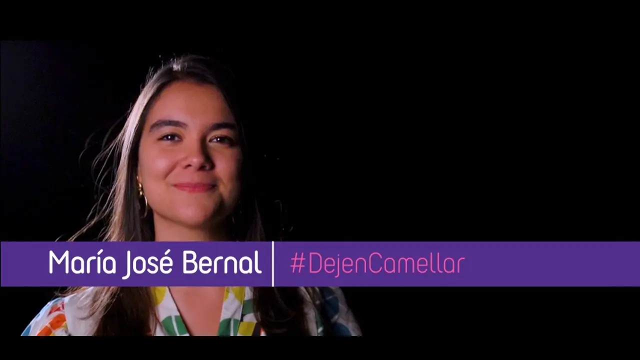 Dejen camellar
