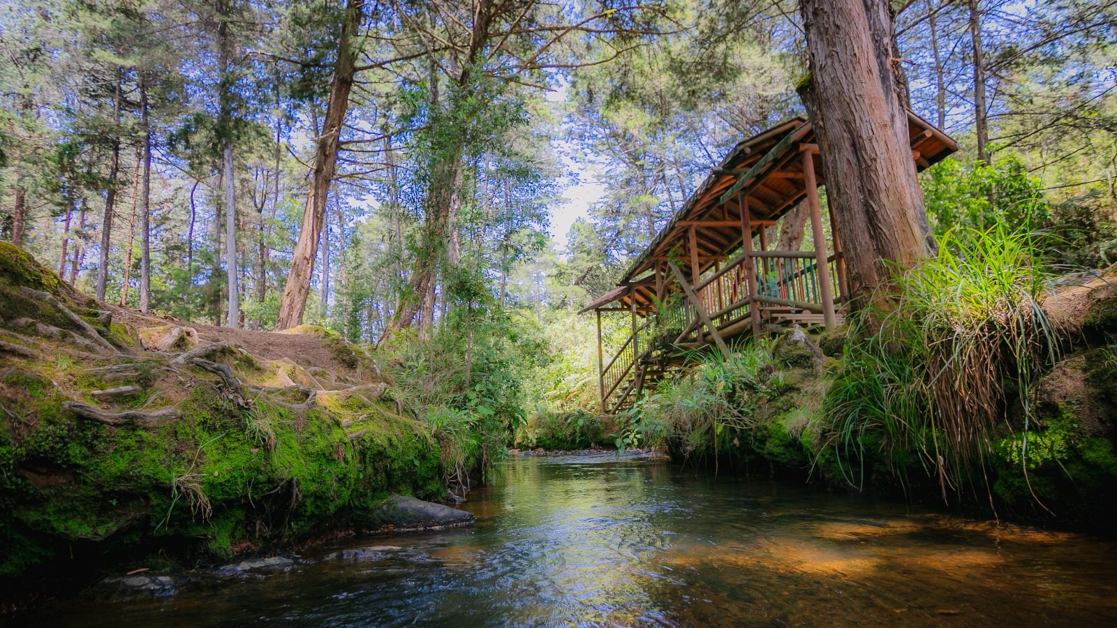El Parque Arví ya se prepara para la Feria de las Flores como un destino imperdible