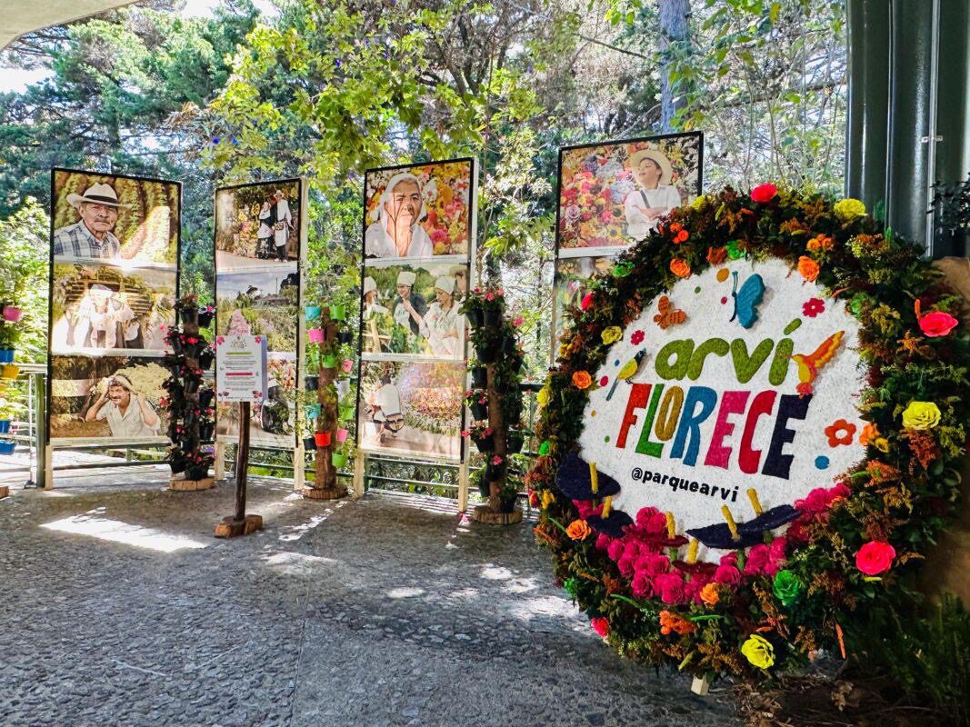 La Feria de las Flores y su tradición silletera ya se viven en el Parque Arví