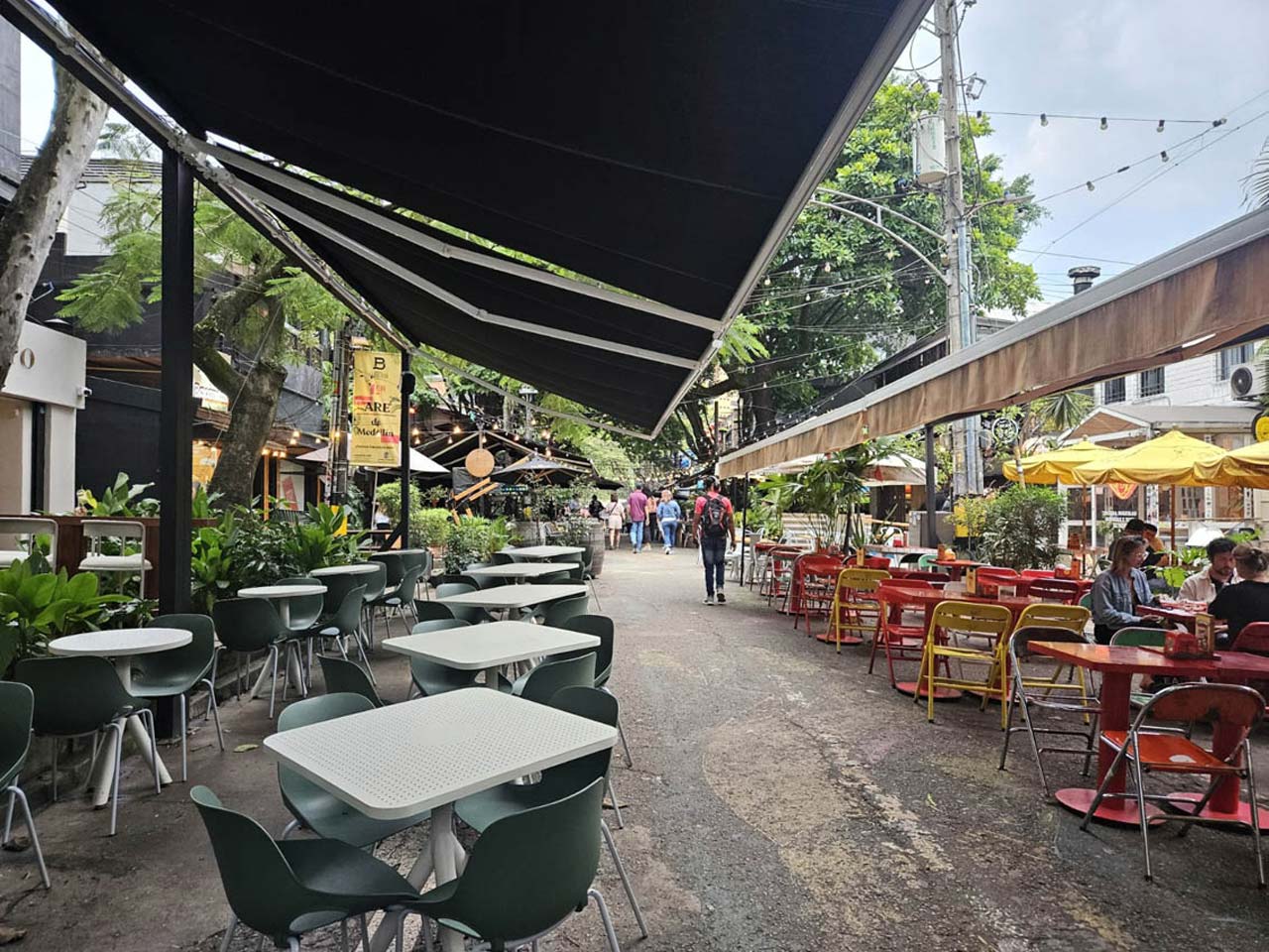 Conoce Provenza en un recorrido imperdible para propios y visitantes