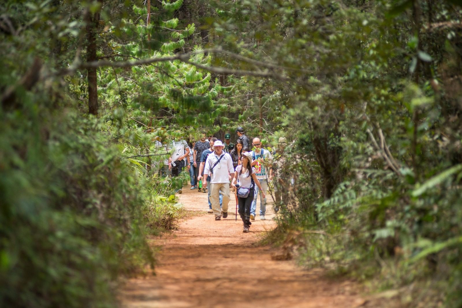 El Parque Arví presentó una recuperación económica con ingresos de más de 5 mil millones de pesos en 2024