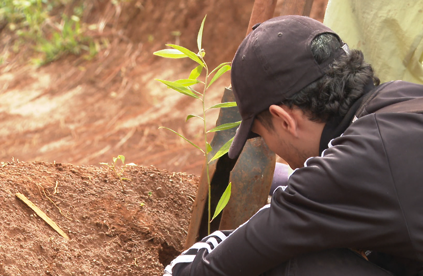 Más de 4.000 árboles serán sembrados en la Reserva Natural Orquídeas en Jardín