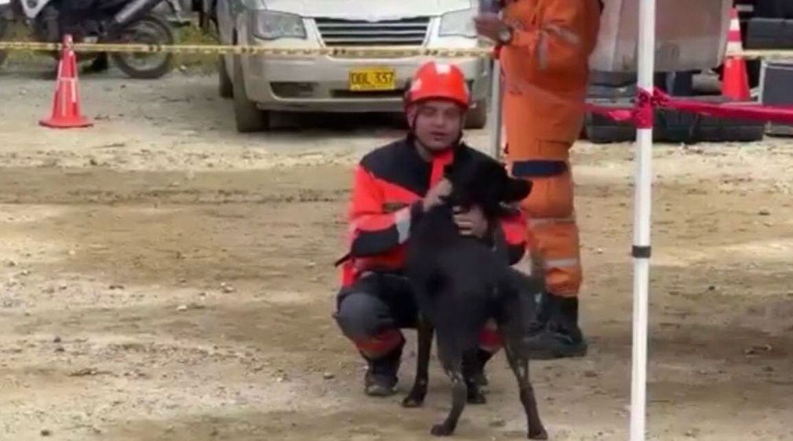 En medio del dolor, hay esperanza en Chocó por rescate de perrito que estuvo dos días sepultado