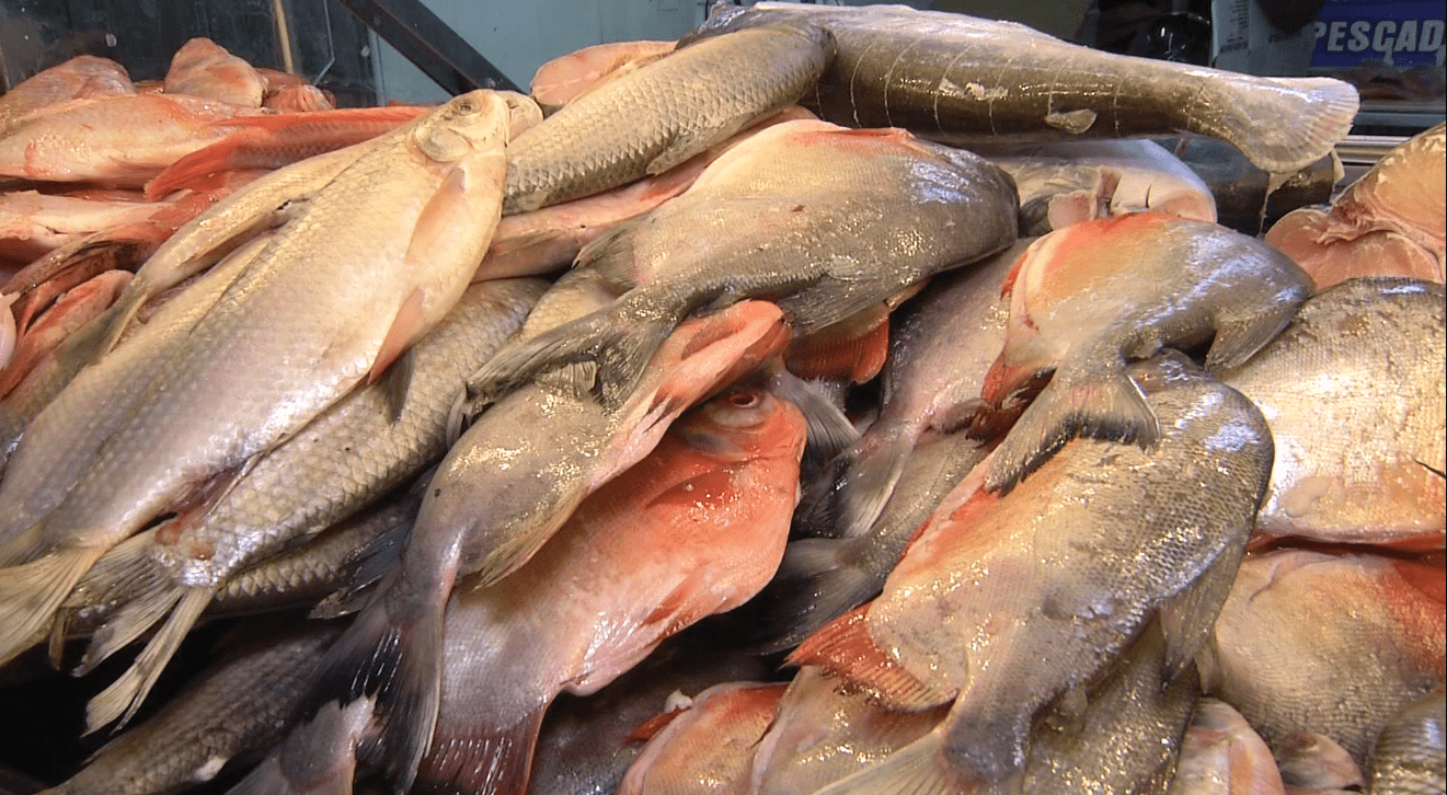 recomendaciones ¿Cuáles son los pescados que la gente más compra en Medellín