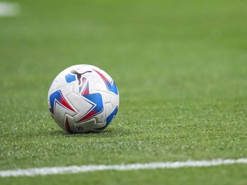 ¿Por qué tantas críticas al terreno de juego de los estadios de la Copa América