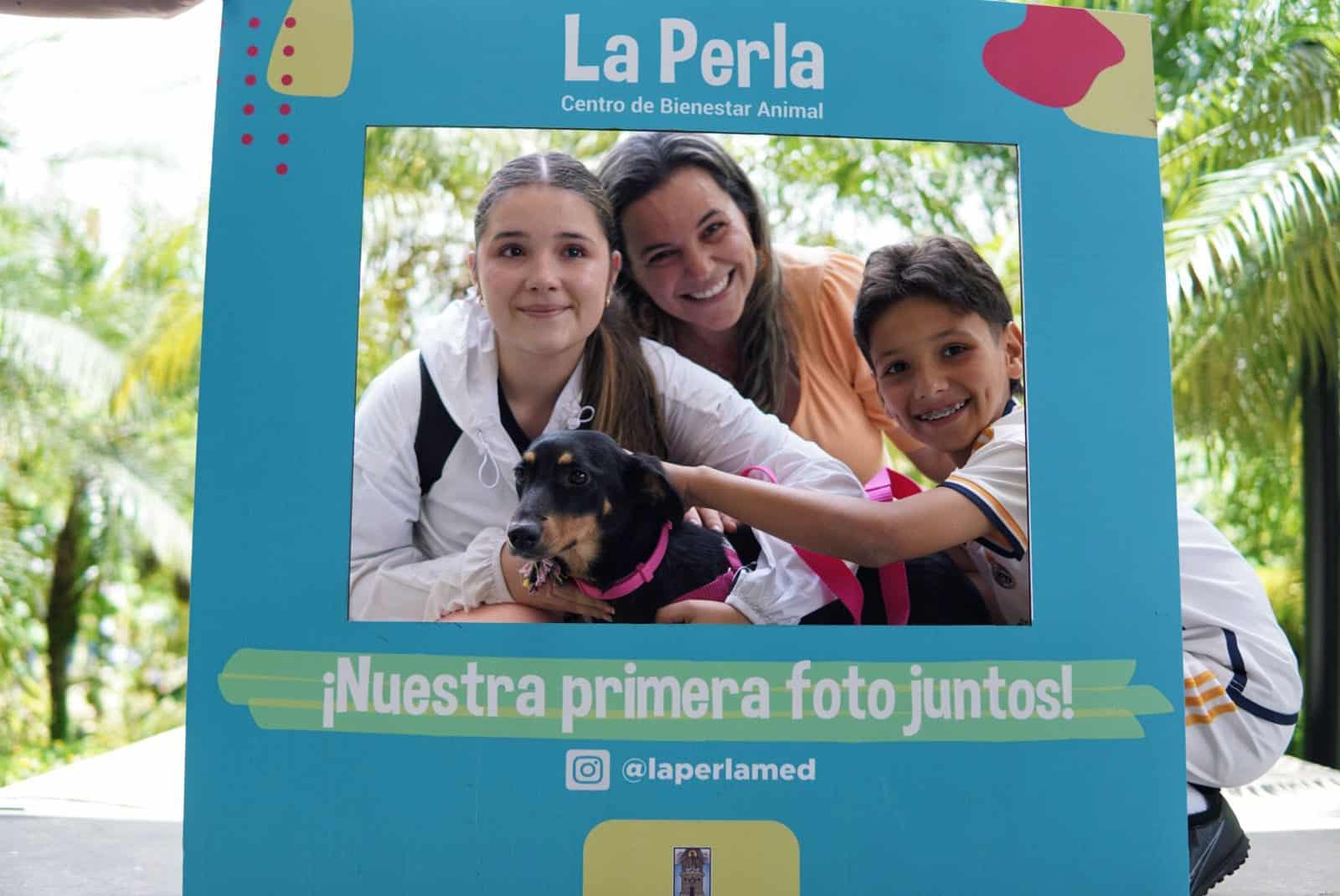 49 perros y gatos fueron adoptados gracias a la campaña ‘Una historia llena de amor’