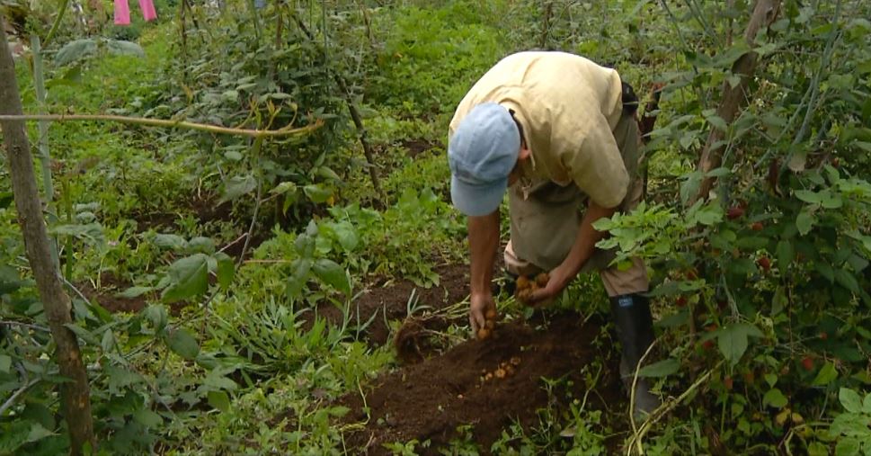 Continúa la polémica por las Áreas de Protección para la Producción de Alimentos en el Suroeste