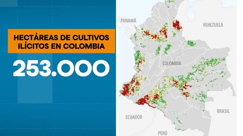 Cultivos de coca en el país crecieron 10 veces más en comparación con la última década