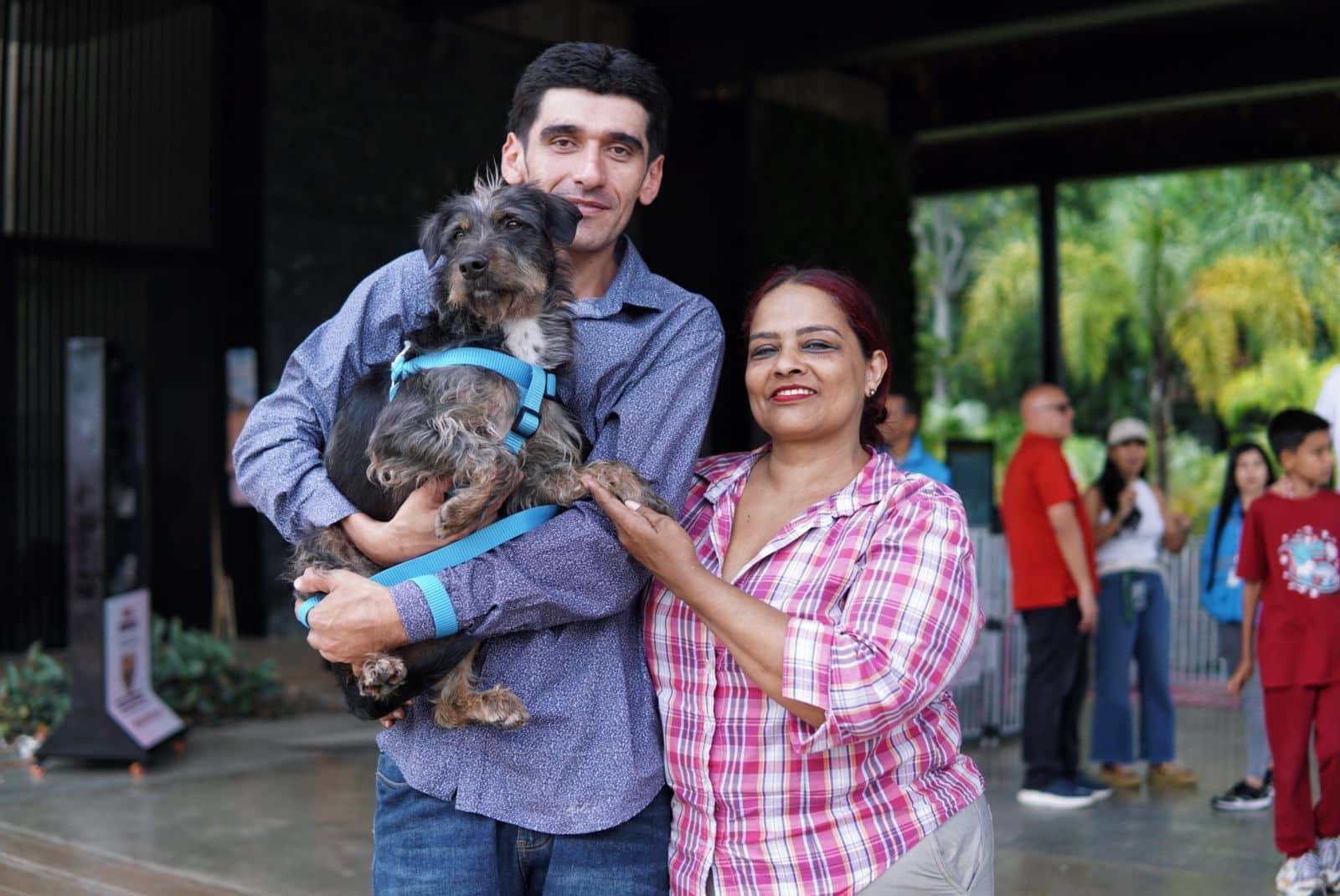 En Medellín van 1.349 adopciones de animales en lo que va de 2025