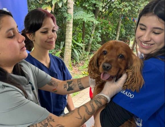 Mascotas al Parque llega con imperdible programación este domingo: vea las actividades