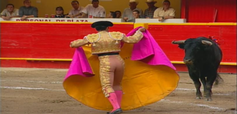 Opiniones divididas por decisión de la Corte Constitucional de prohibir corridas de toros