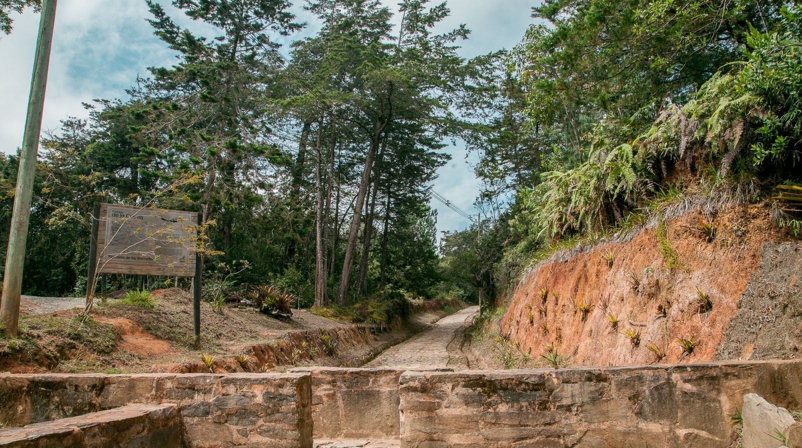 Parque Arví conmemora el Mes del Patrimonio compartiendo la riqueza histórica de Medellín