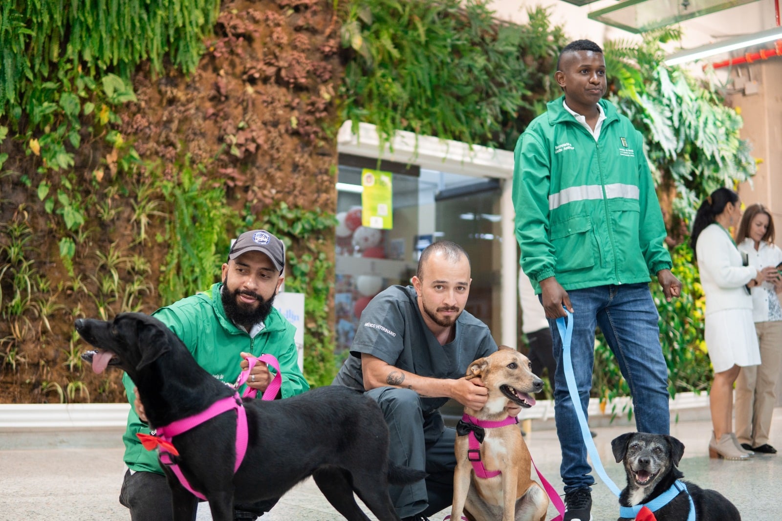 80 perros y gatos en busca de amor y amistad: habrá adoptatón en Parques del Río