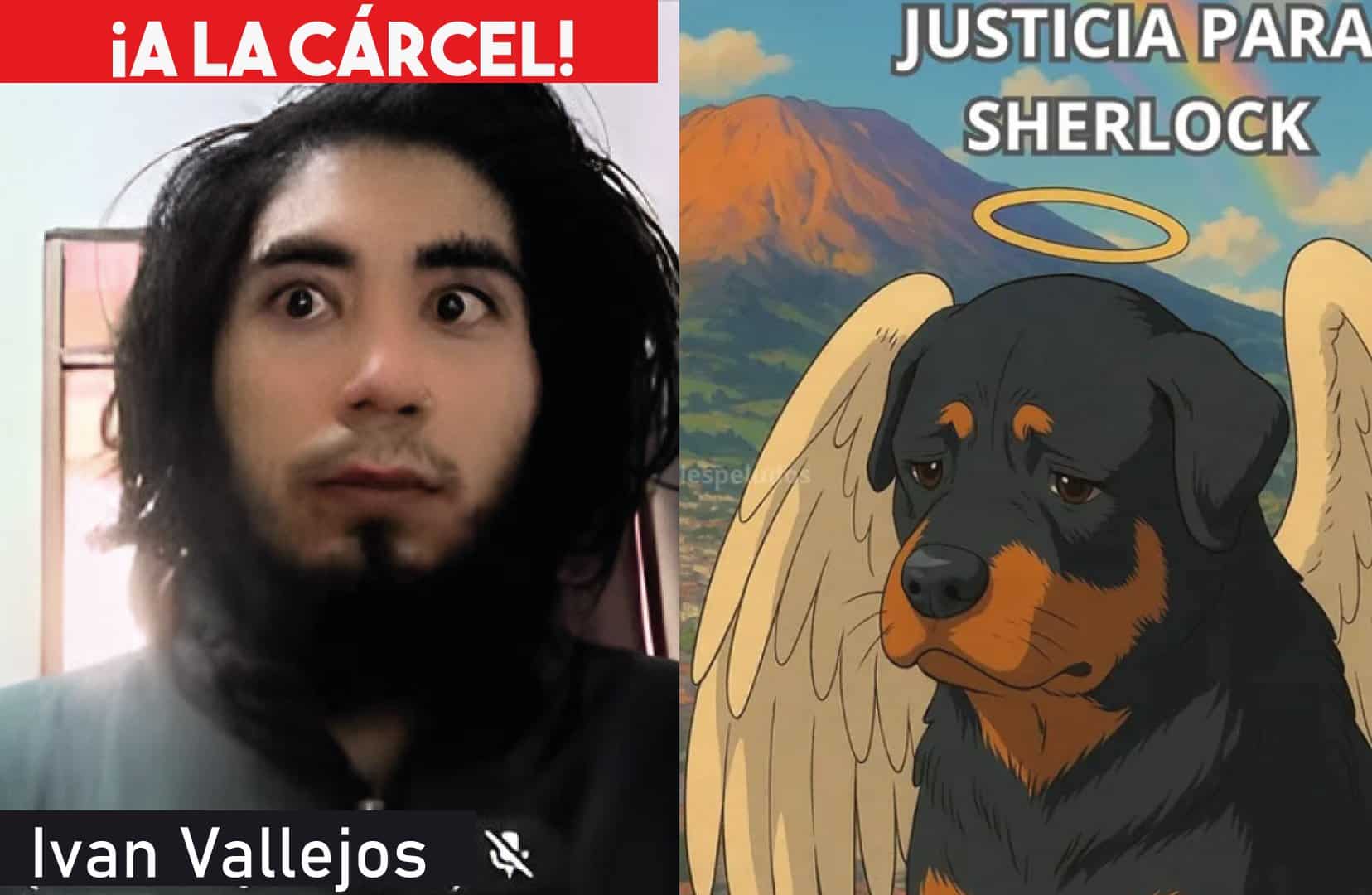 “Justicia para Sherlock”: indignación por hombre que quemó vivo a un perro en Pasto