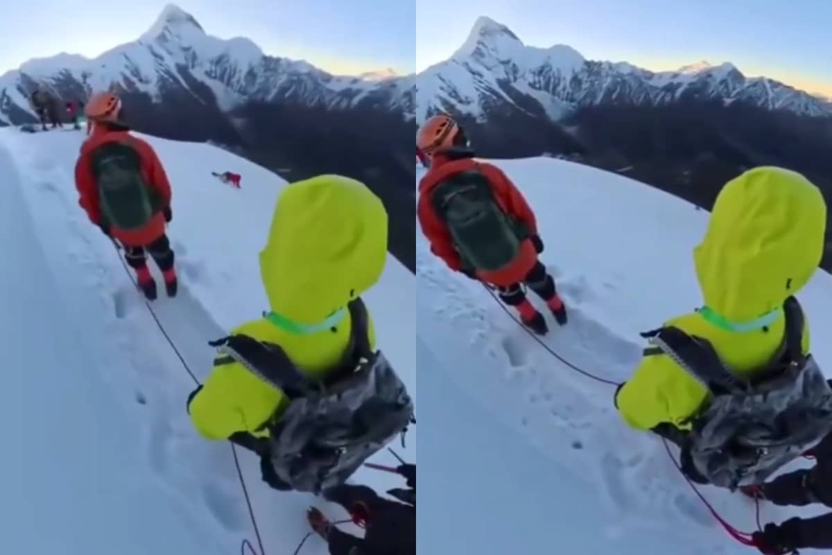 [Video] Por tomarse una selfi, alpinista sufrió caída mortal en monte de China