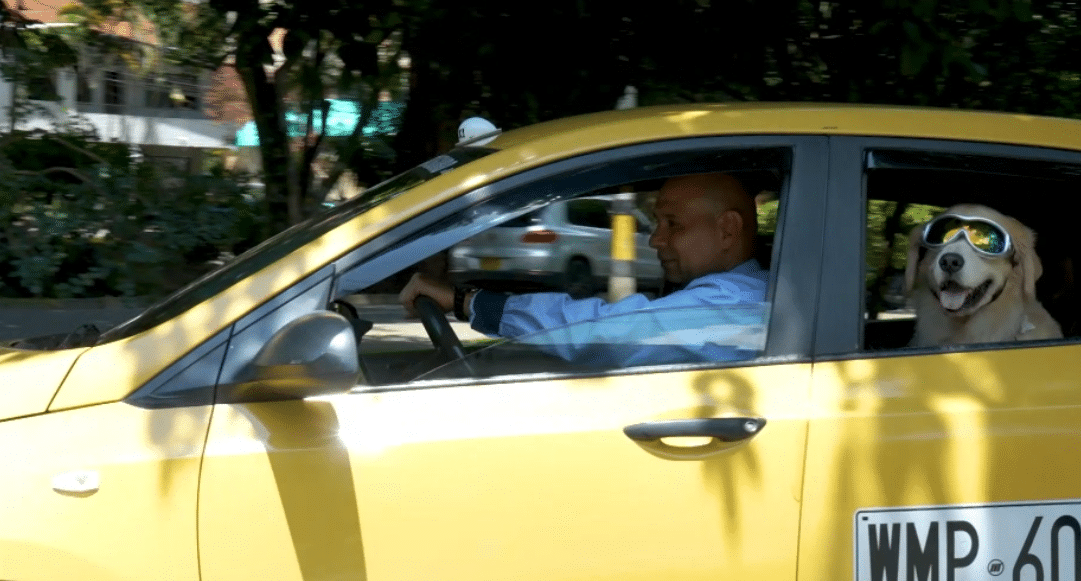 Coopebombas duplica su flota y lanza 400 nuevos taxis amigos de las mascotas