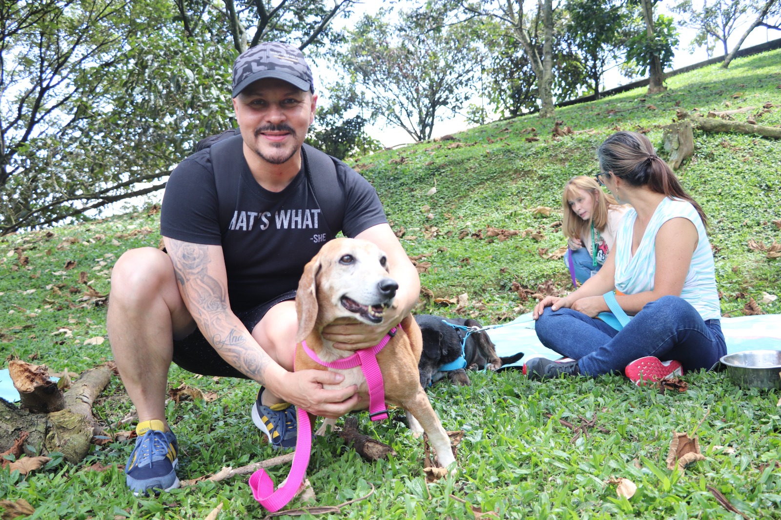 Más de 300 perritos mayores de 10 años esperan un hogar en La Perla