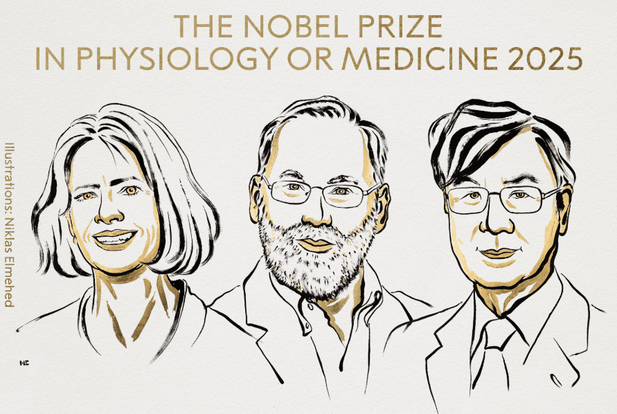 El Nobel de Medicina premia a tres investigadores del sistema inmunitario