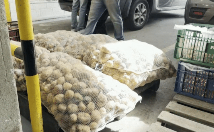 Alianza para que alimentos cultivados en Medellín no tengan ningún tipo de desperdicio