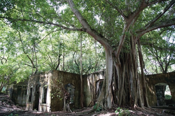 Armero ¿qué sucedió luego de la erupción del Nevado del Ruiz?