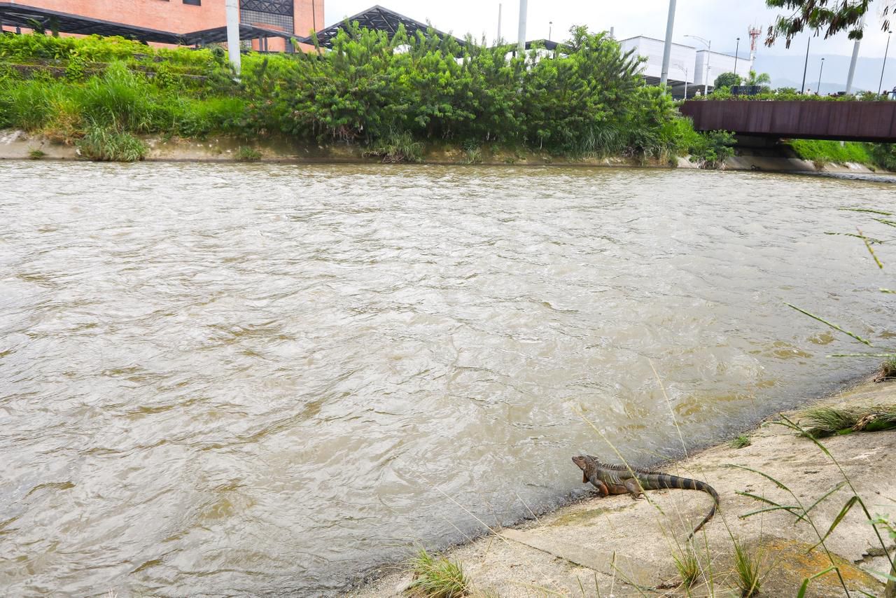 Así será la intervención en 30 puntos críticos del río Medellín