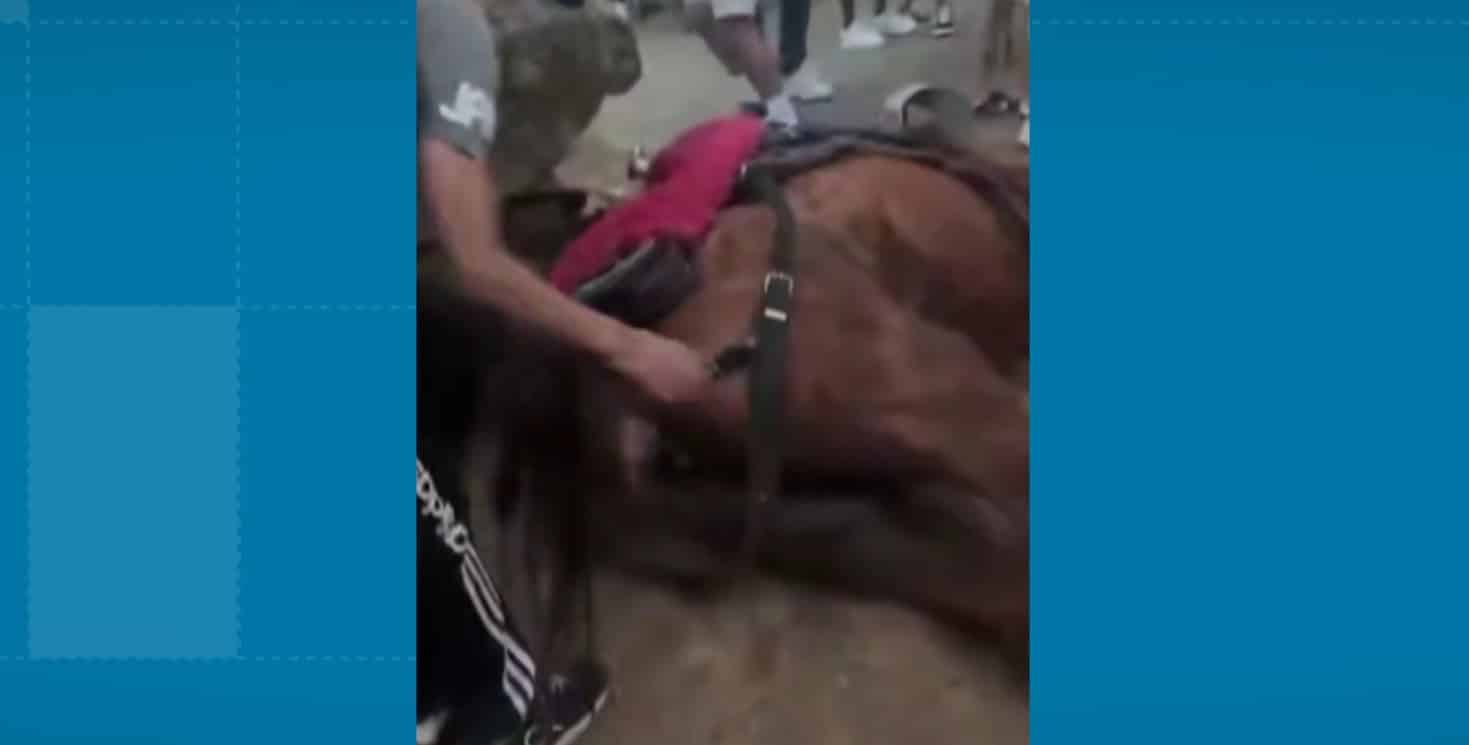 Caballo murió cuando era utilizado para diversión en el parque Juanes de la Paz