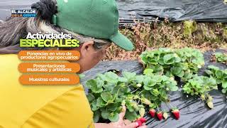 Celebración campesina en Medellín: 10 años de alianza con la Comunidad Autónoma