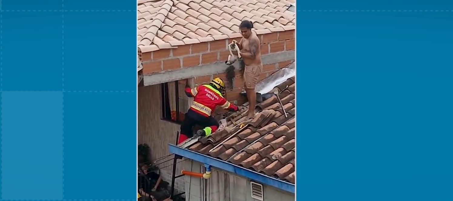 Gato quedó atrapado entre dos paredes en Bello: así fue su rescate