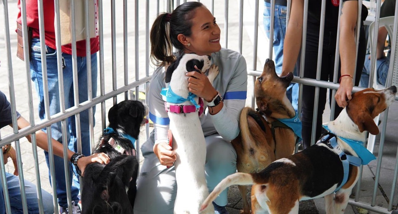 Un día para la historia: 80 animales encontraron hogar en la “adoptatón”