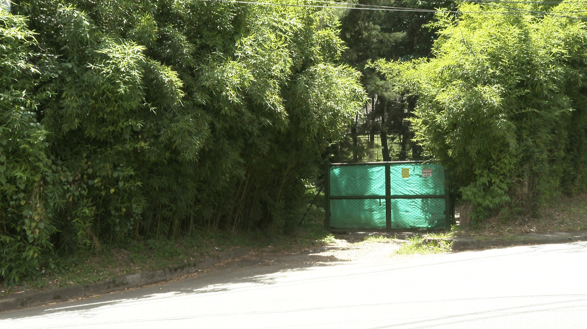 ABC del caso de Aguas Vivas que lleva a juicio Daniel Quintero