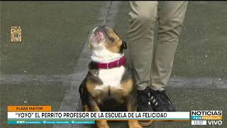 Noticias Telemedellín - Domingo, 23 de noviembre de 2025. Emisión 11:59 a. m.